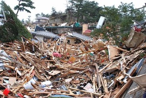 µÜ¾ë¸© ÌîÉÇ¡Ê2011ǯ3·î20Æü¡Ë (19)