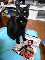 ��12��˥㥪��