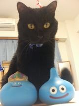 �������椦�ݤ��������