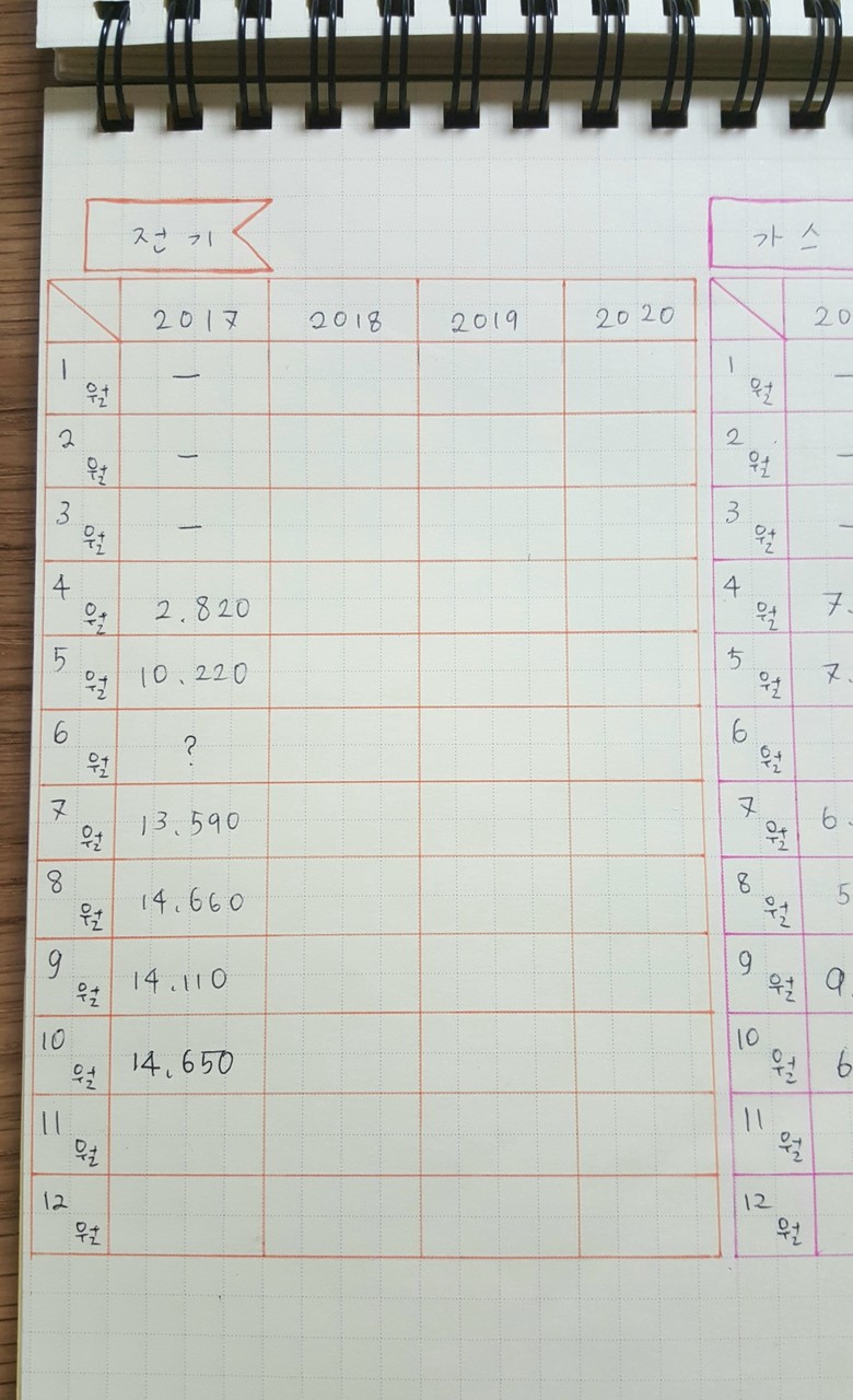 我が家のオリジナル家計簿 大公開 むくげの花