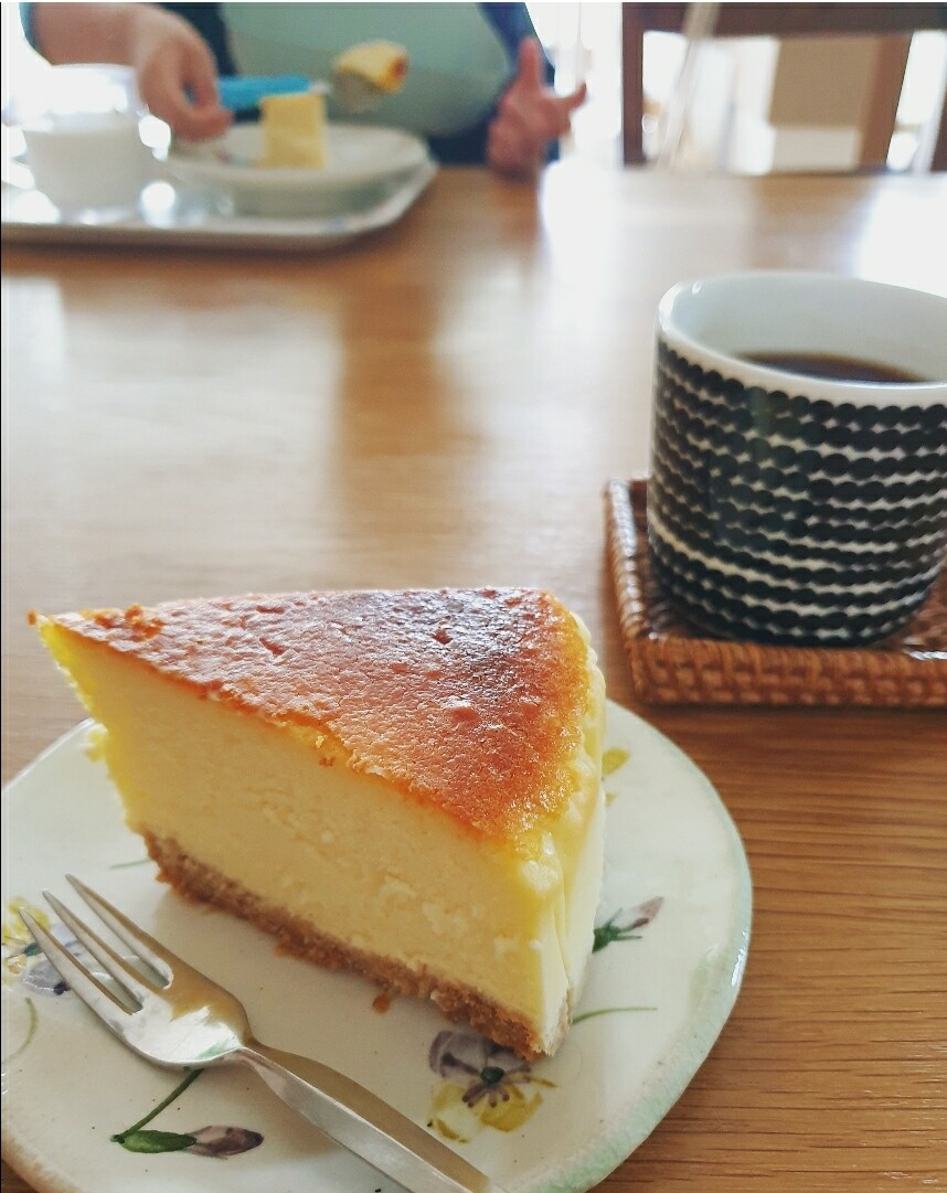 濃厚チーズケーキとさくさくクッキー むくげの花 濃厚チーズケーキとさくさくクッキー むくげの花