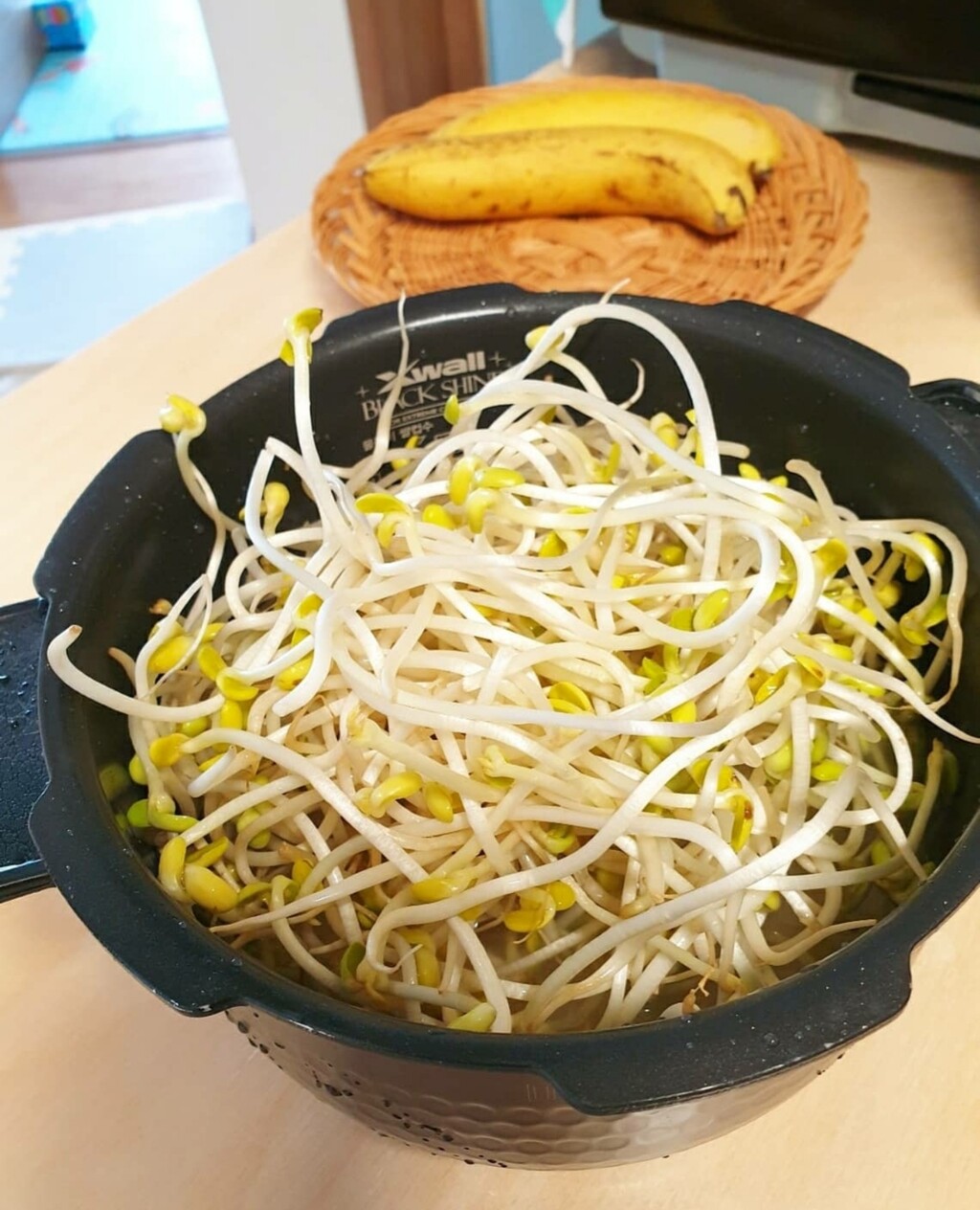 豆もやし タラの芽 どんぐり むくげの花 豆もやし タラの芽 どんぐり むくげの花