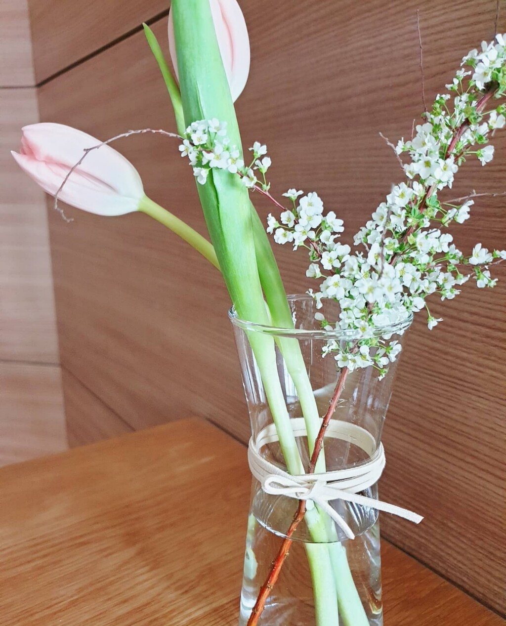 初めての切り花と 春 むくげの花