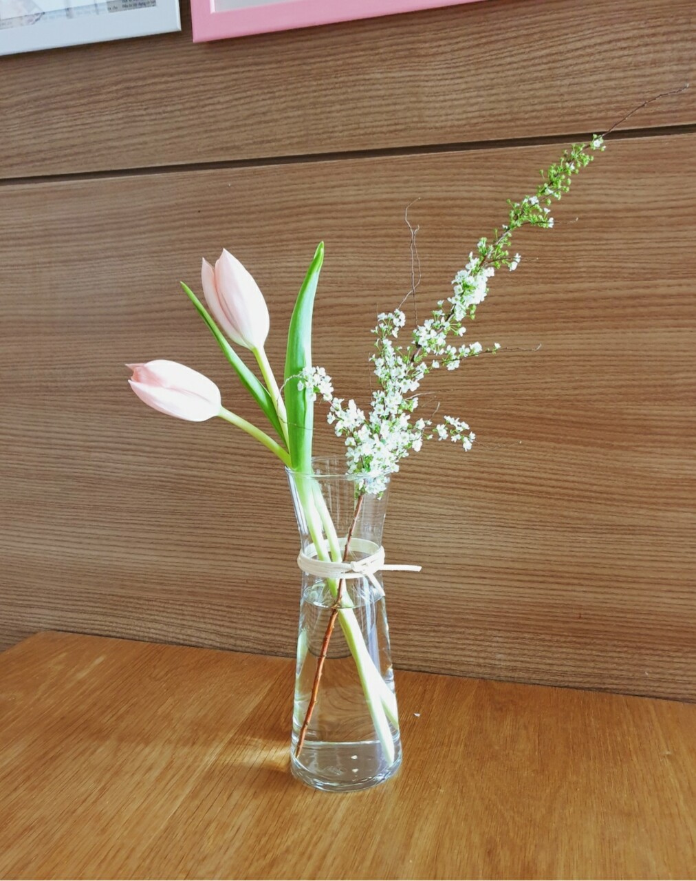 初めての切り花と 春 むくげの花 初めての切り花と 春 むくげの花
