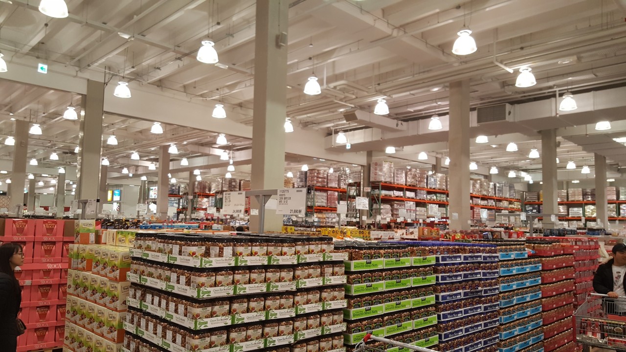 保険の問題はあれど コストコへ買い物に むくげの花