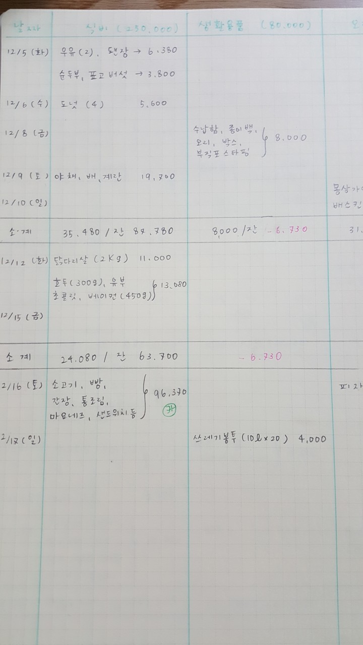 我が家のオリジナル家計簿 大公開 むくげの花