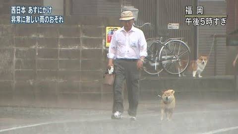 イッヌ 雨に濡れるのは良いけど風呂は嫌ンゴおおおおおおお おおおおおおお なんでも受信遅報 なんj おんjまとめ イッヌ 雨に濡れるのは良いけど風呂は嫌ンゴおおおおおおお おおおおおおお なんでも受信遅報 なんj おんjまとめ