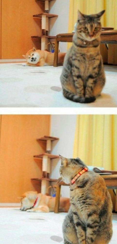 no title