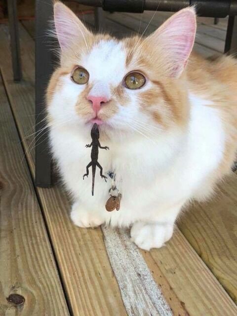 no title