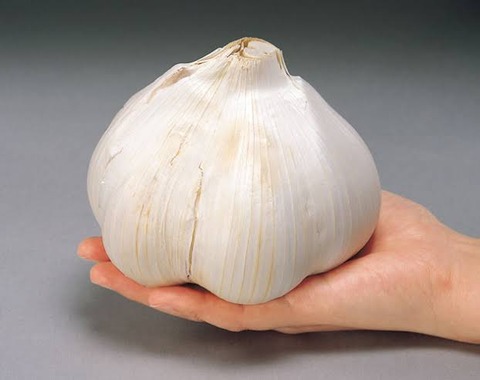 彡 にんにくマシマシのマシのマシで ｗ なんでも受信遅報 なんj おんjまとめ