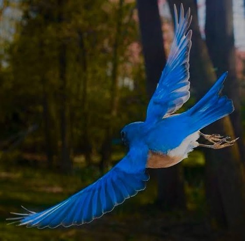 images - 2021-09-14T225115.182