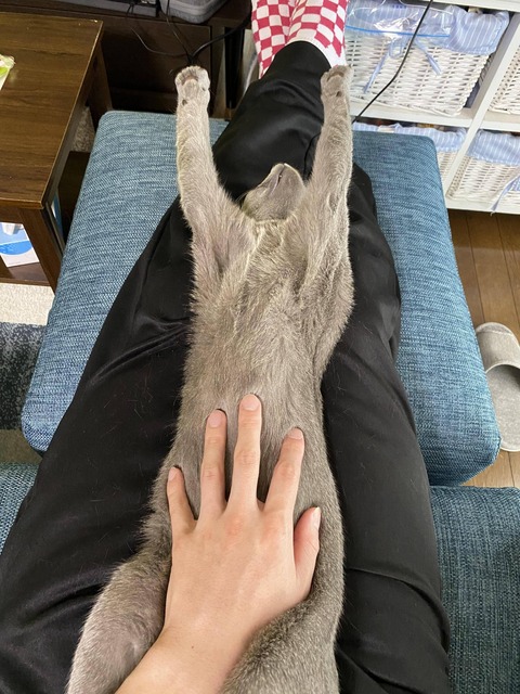 no title
