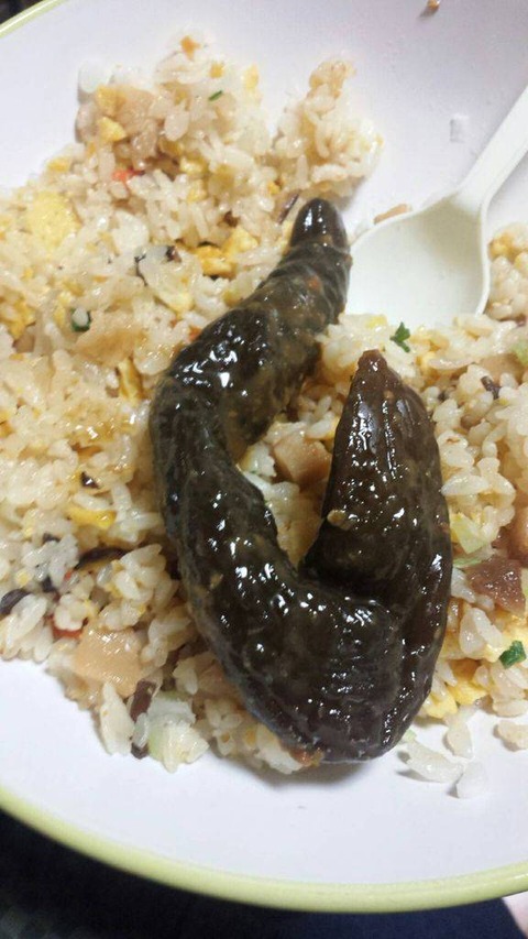 ケンモ飯集 ヽ ん 魚をスーパーで買う奴は馬鹿 海で釣ってくればタダで食い放題なんだぞ なんでも受信遅報 なんj おんjまとめ ケンモ飯集 ヽ ん 魚をスーパーで買う奴は馬鹿 海で釣ってくればタダで食い放題なんだぞ なんでも受信遅報 なんj おんjまとめ