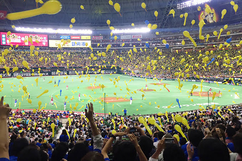 野球以外で面白いスポーツ観戦教えてくれ