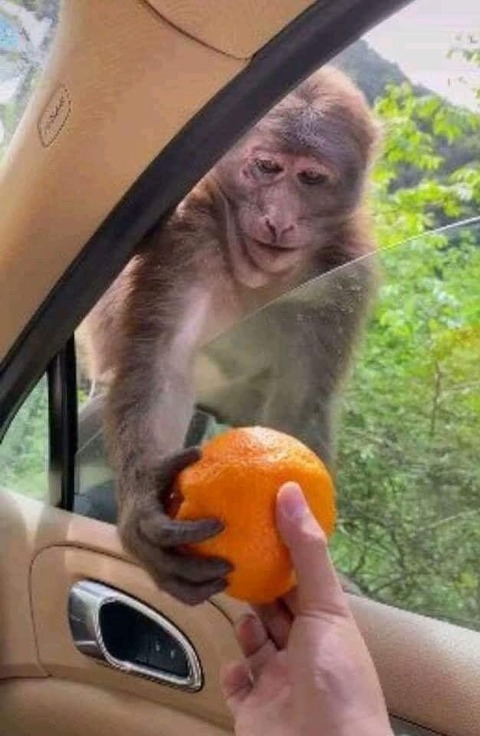 no title