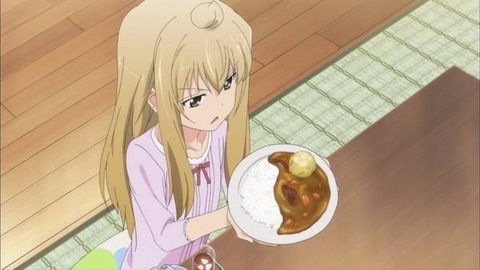 (ヽ´ん`)「俺は今、カレー作ってる。今からルー入れる」