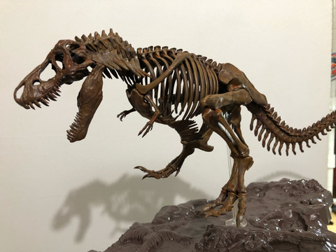 ティラノサウルスのプラモwww