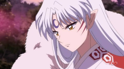 殺生丸「人間は虫けら」