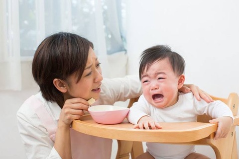 【朗報】淫夢語録だけで育児出来る事が判明