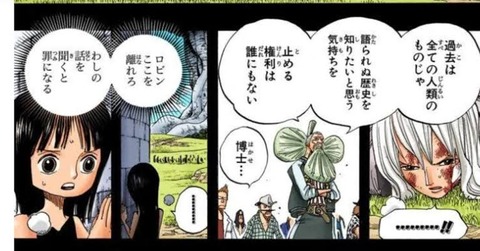 ワンピースで一番泣ける過去エピソード