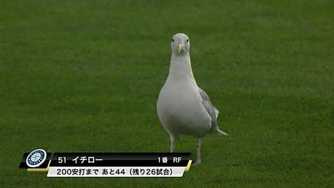 イチロー、鳥人間になる