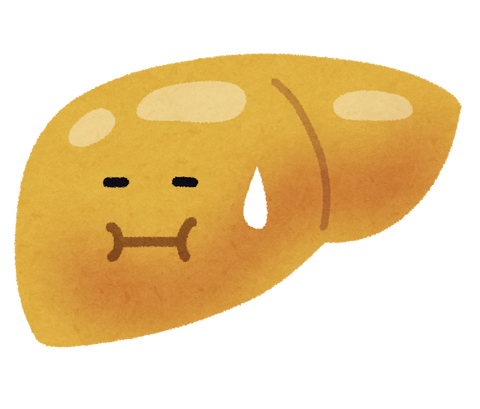 肝臓「…………………あの」彡(ﾟ)(ﾟ)「！」