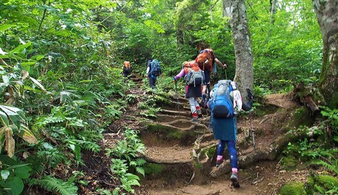 登山と釣りが趣味のワイがした訳分からん怖い体験で打線