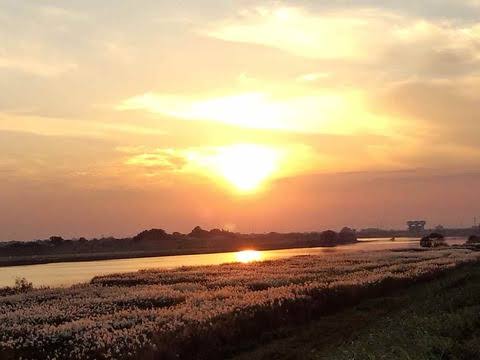 (ヽ´ん`)「50の無職だが、人生で死のうと思ったことがないな。」