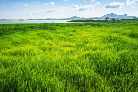 使い勝手が良すぎる淫夢語録「草」「多少はね?」