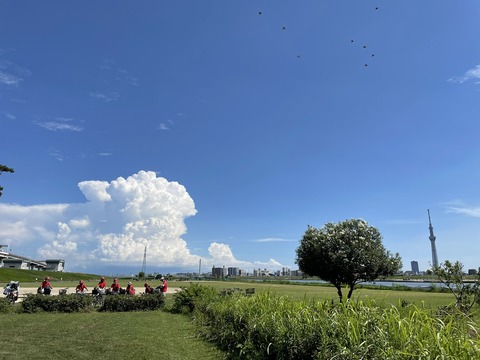 夏らしい画像ください なんでも受信遅報 なんj おんjまとめ 夏らしい画像ください なんでも受信遅報 なんj おんjまとめ