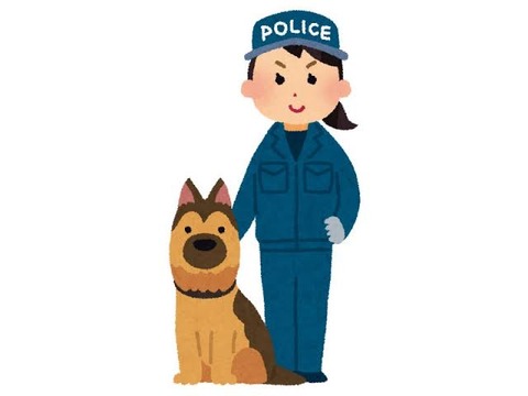 悲報 弱そうな警察犬 見つかる なんでも受信遅報 なんj おんjまとめ