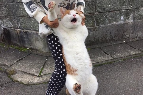 no title