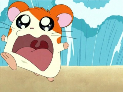 ワイ「ハムスター千円元気か？」ハムスター千円「いや」