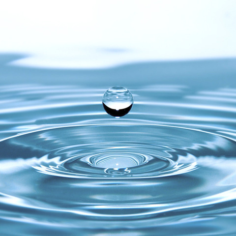 水のすごい特徴で打線組んだ