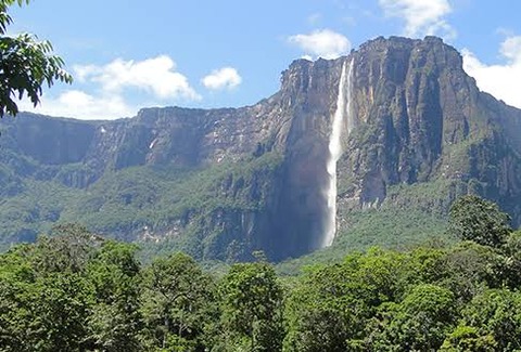 ミュウツー←南アメリカのギアナ高地で見つかった