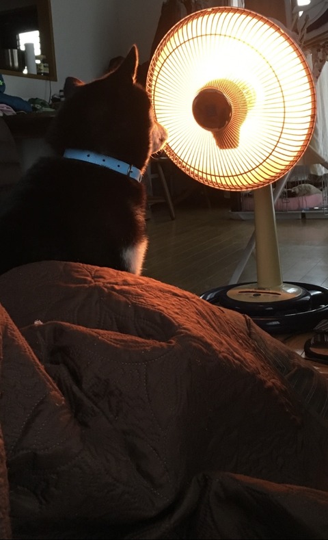 no title