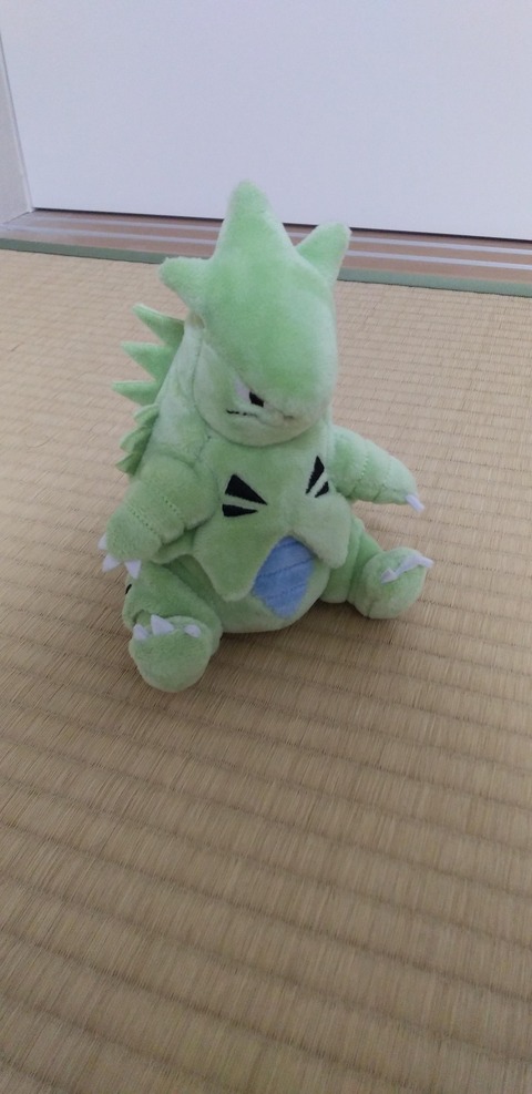 バンギラス 弱点最多です 岩技外します 育てるのがめんどいです これが強い理由 なんでも受信遅報 なんj おんjまとめ