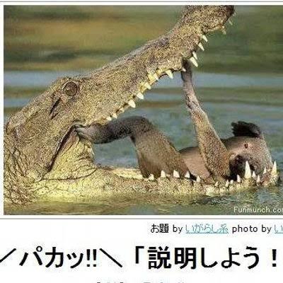 画像で笑ったら寝ろ なんでも受信遅報 なんj おんjまとめ
