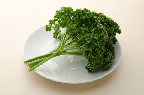 (ヽ´ん`)｢サンドイッチの上にパセリを乗せる仕事してる」