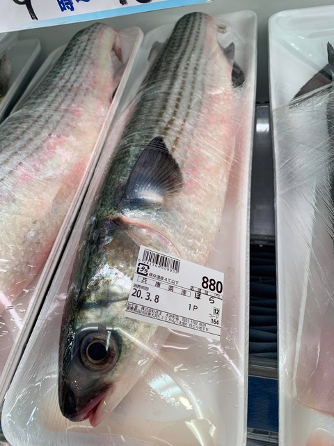 【ケンモ飯集】（ヽ´ん`)「魚をスーパーで買う奴は馬鹿、釣ってくればタダで食い放題なんだぞ」
