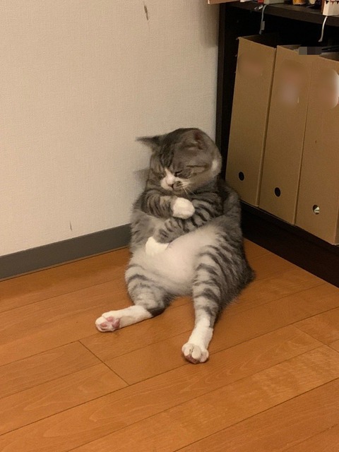 no title