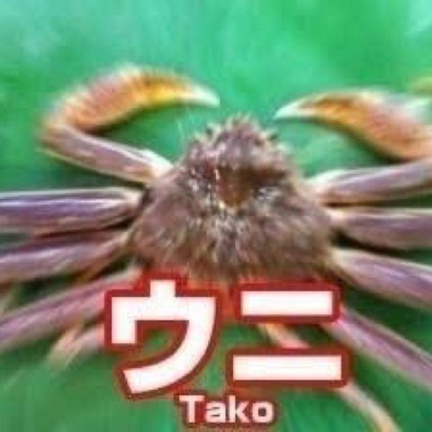 なんでもいいから画像を貼っていけ