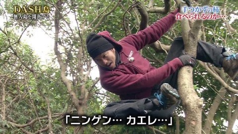 思わず笑った画像貼ってけwww