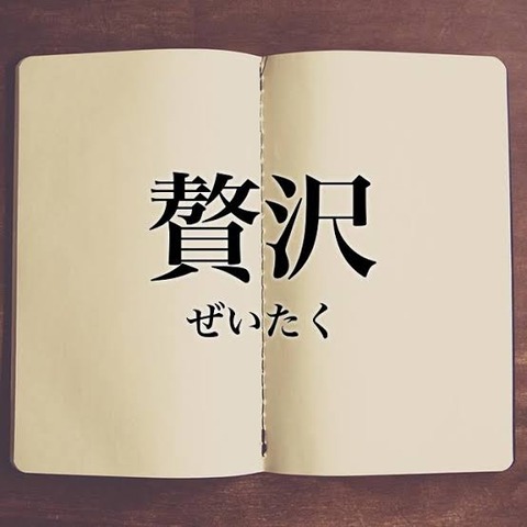 【なんJ】(ヽ´ん`)「CoCo壱とモスと一蘭は給料入ったら行ける高級店って感じ」