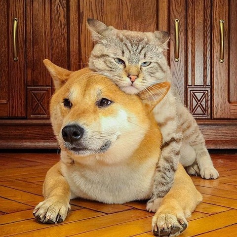 no title