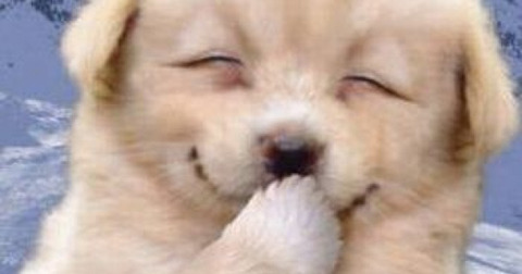 面白い画像くれ なんでも受信遅報 なんj おんjまとめ 面白い画像くれ なんでも受信遅報 なんj おんjまとめ