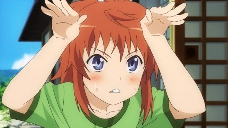 のんのんびよりの不人気ブラコンこと越谷夏海ちゃんwwwwwwwwww ろいアンテナ