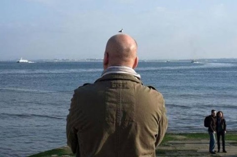 【画像】コラのようでコラじゃない画像