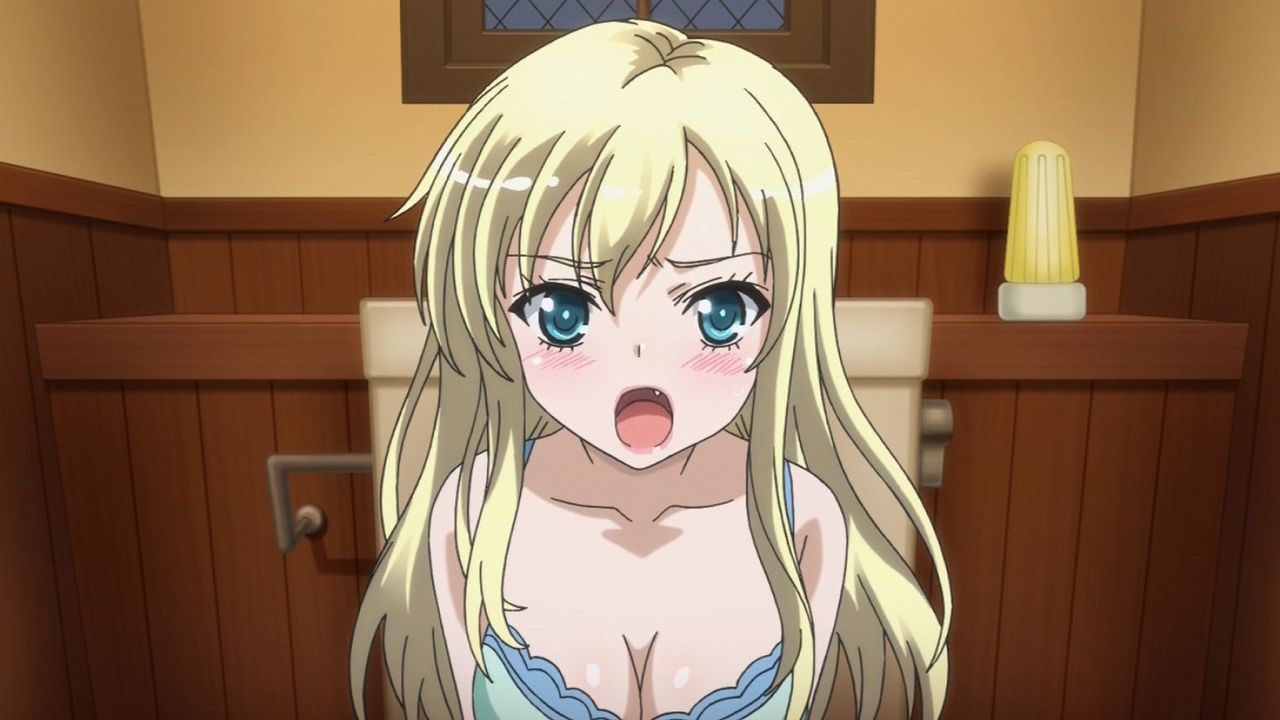 ５月１９日 今日は柏崎星奈ちゃんの誕生日 はがない Ahoahoflashのblog