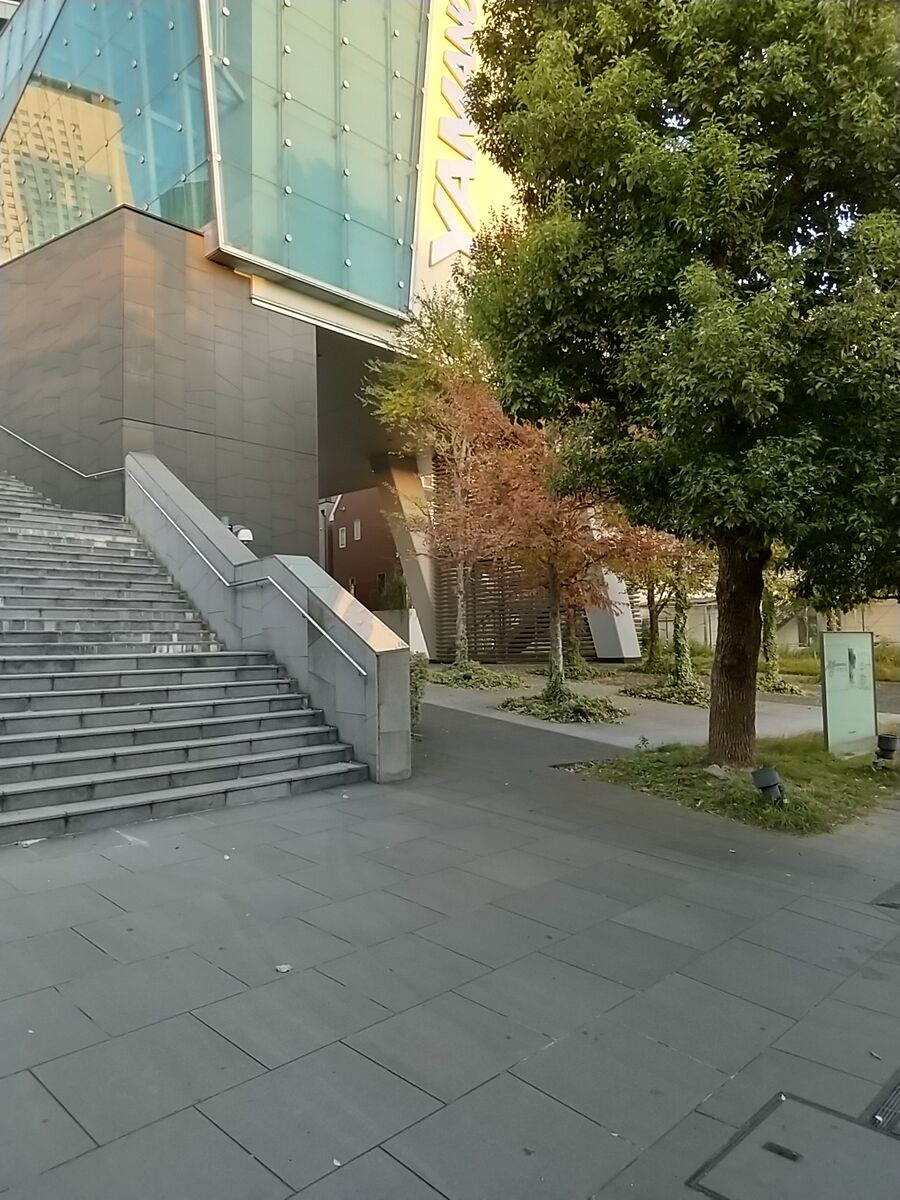 相棒ロケ地 Season 9 顔のない男 の日本国際航空と 犯人が好きな場所 新 神戸尊の事件簿 Mixiページ